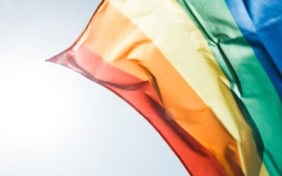 Parents Keep 700 Students Home to Protest LGBT Elementary Curriculum
